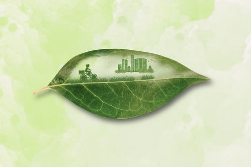 艺术湾：引领地产行业低碳转型的新路径